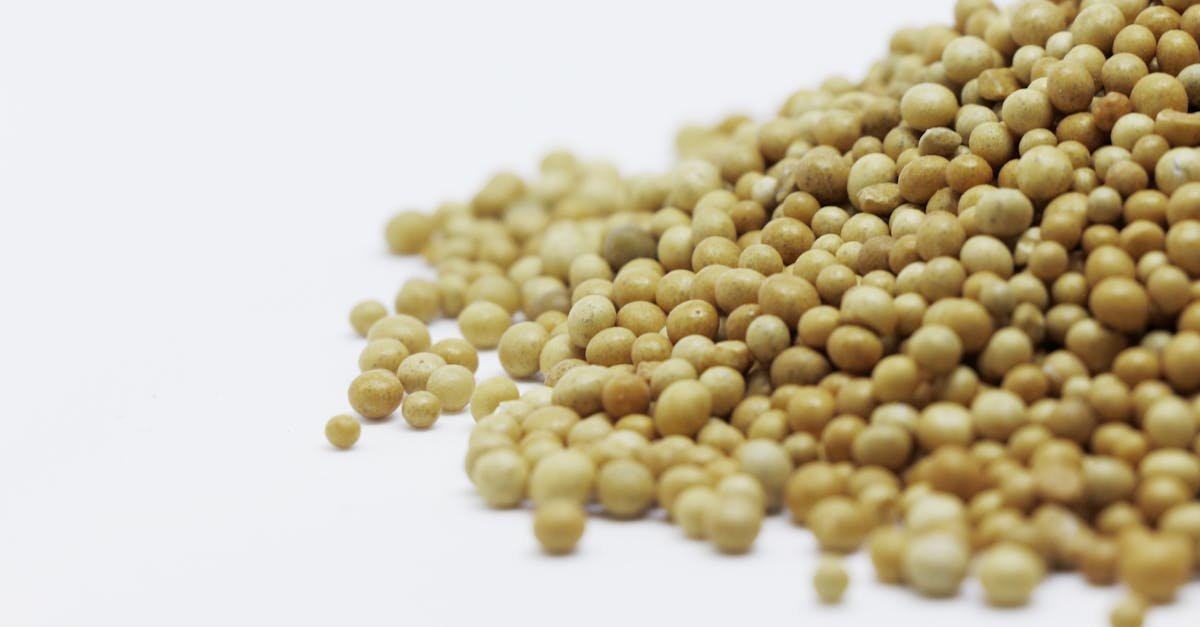 Senfkörner für die Gesundheit: Die kleinen Samen mit großer Wirkung