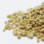 Senfkörner für die Gesundheit: Die kleinen Samen mit großer Wirkung